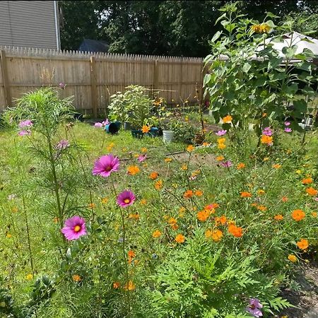 Studio Apt W Garden 킹스턴 외부 사진