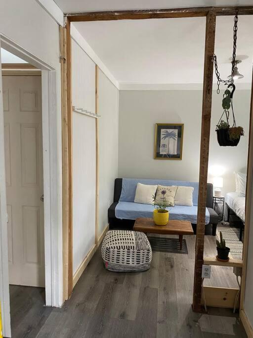 Studio Apt W Garden 킹스턴 외부 사진