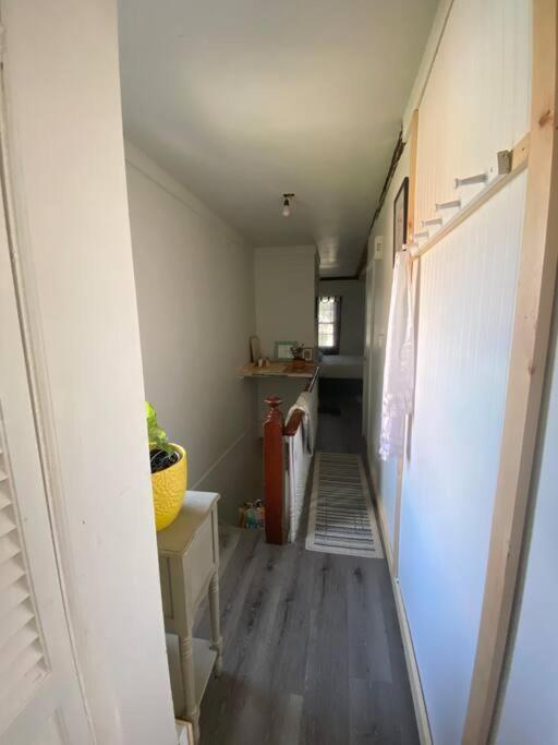 Studio Apt W Garden 킹스턴 외부 사진
