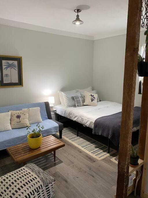 Studio Apt W Garden 킹스턴 외부 사진